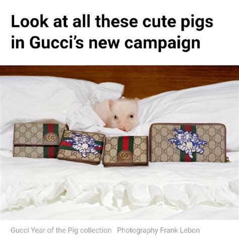 gucci peggy|kicking squealing Gucci little piggy.